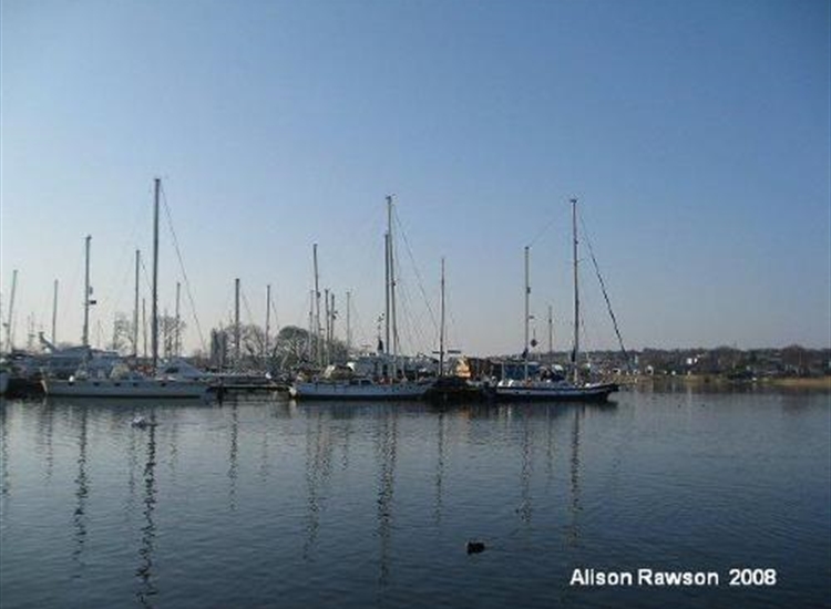 Rural Scene in the Marina