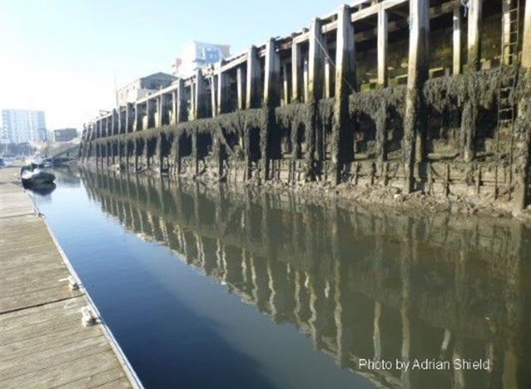 Inside berths on the pontoon