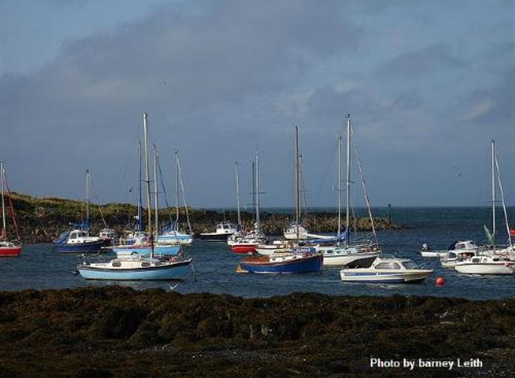 Groomsport Trots