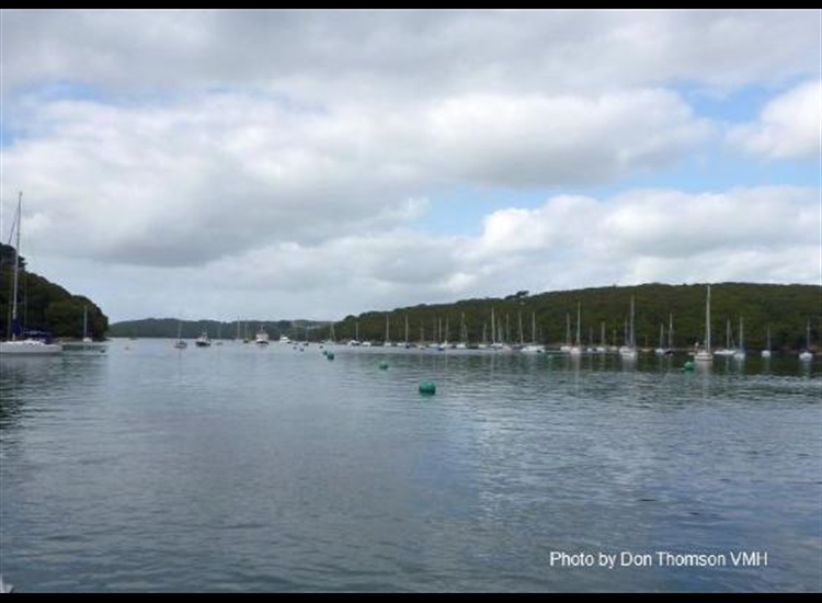 Helford Visitor moorings