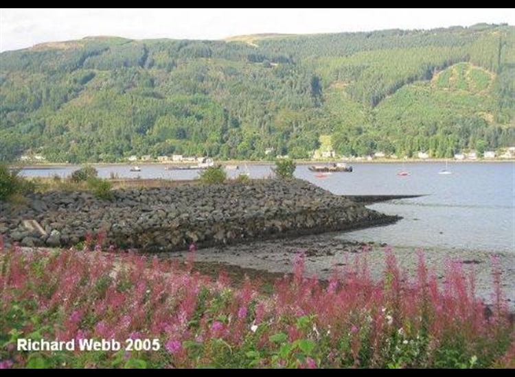 Small Craft Moored Within Holy Loch