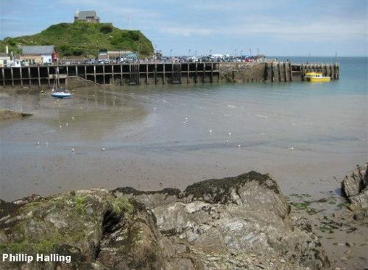 Outer Harbour, note mooring buoys for small craft