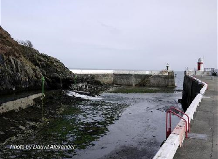 Laxey. Harbour Entrance. Training wall on left with SH perches