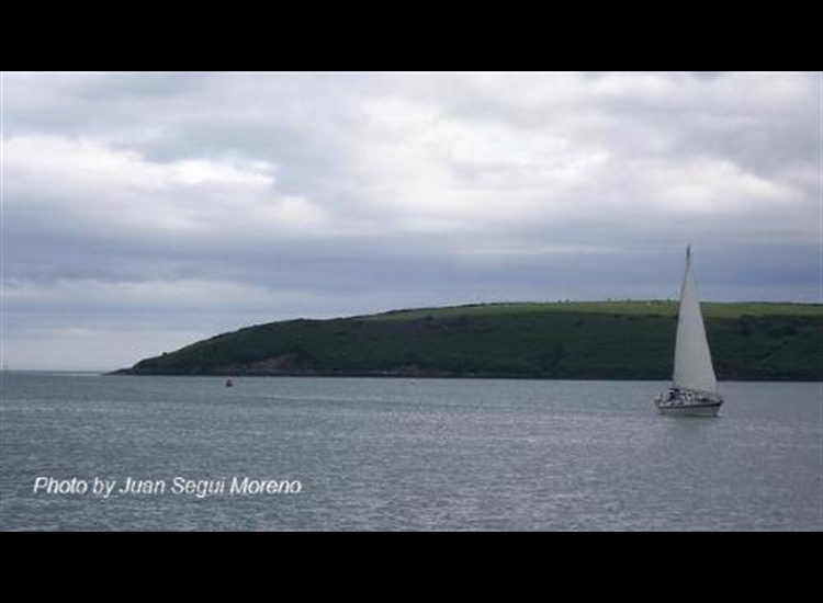 Kinsale. Money Point looking South