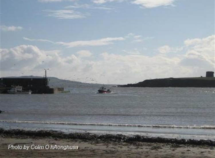 Loughshinny Pierhead and the Martello Tower on the South headland