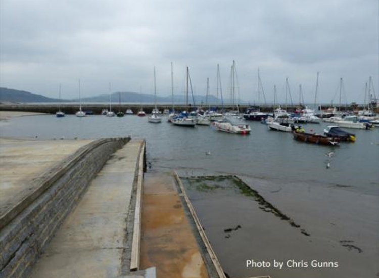 Lyme Regis looking East from cleaning slab