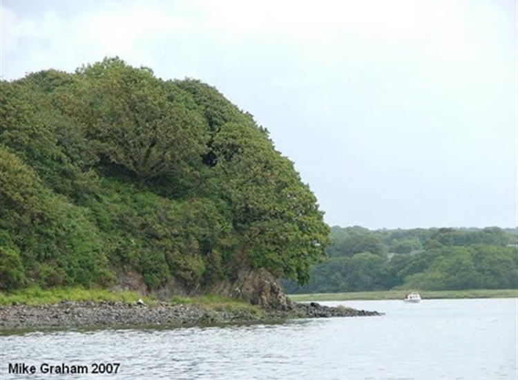 9.Picton Point, the river divides into E.Cleddau and W.Cleddau