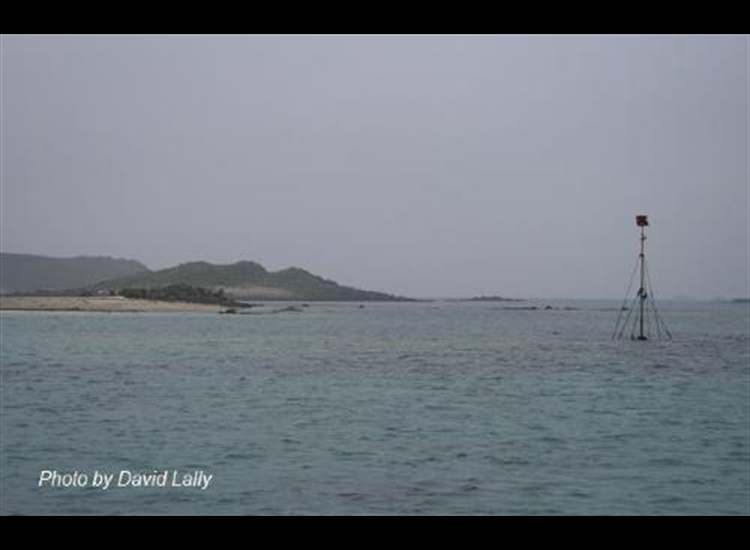 Perch on Hulman in New Grimsby Sound