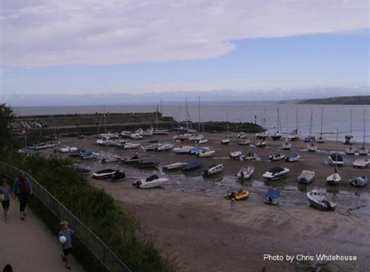 New Quay Harbour at Low Water