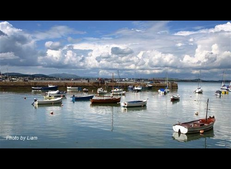 Newcastle Harbour with steps on North wall centre