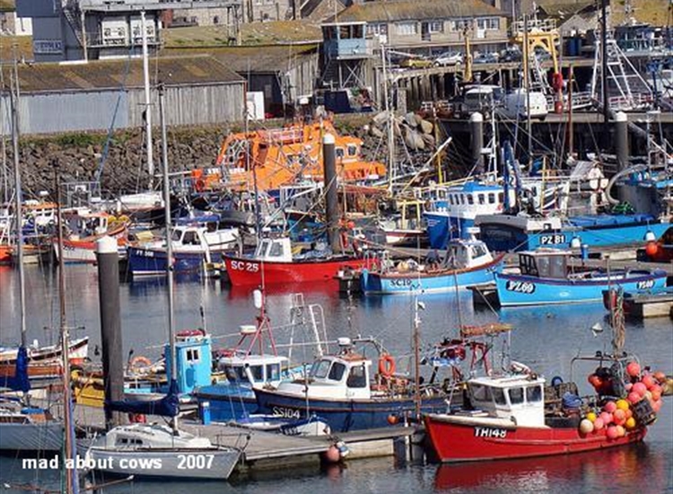 New pontoons, lifeboat and Mary Williams Pier