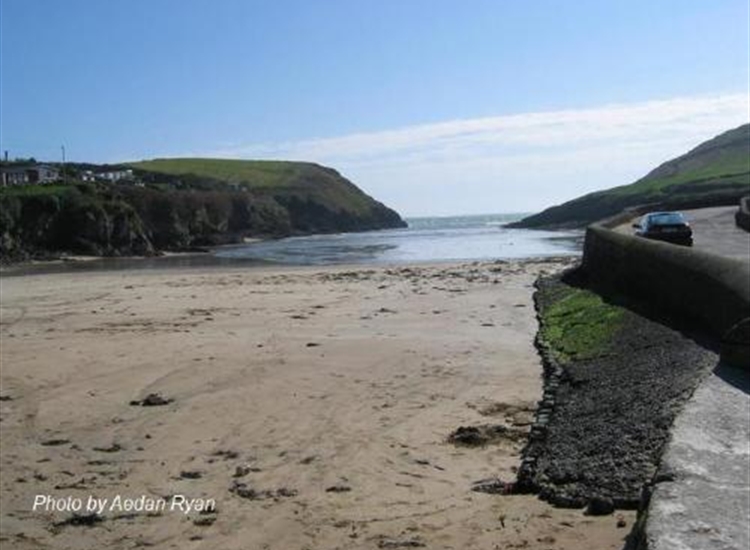 Roberts Cove at LW Springs