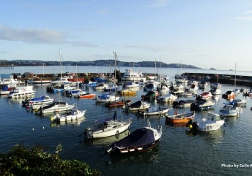 Paignton Harbour