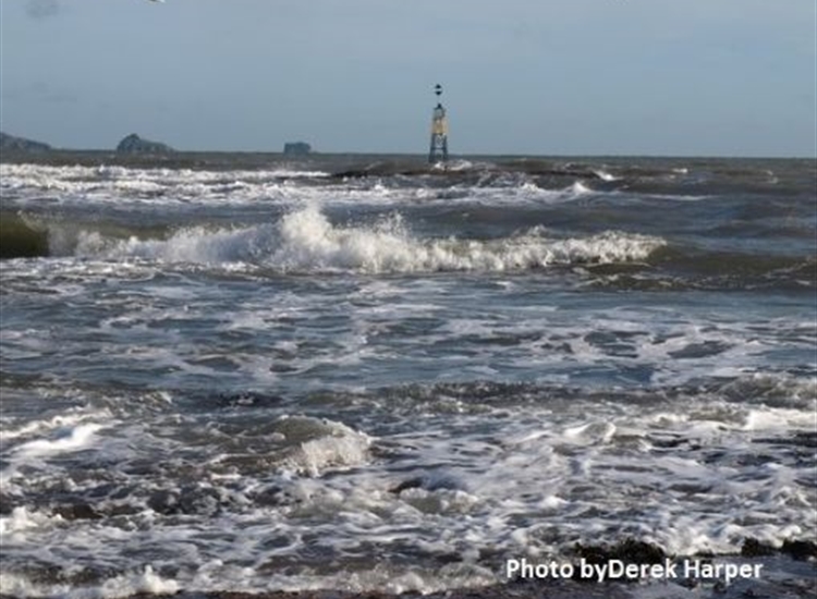 Cardinal Mark off Paignton