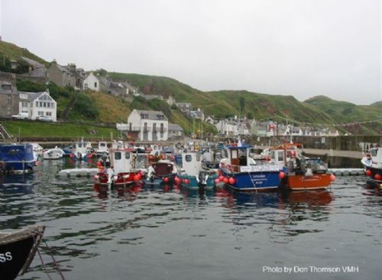 Gardenstown  looking SW