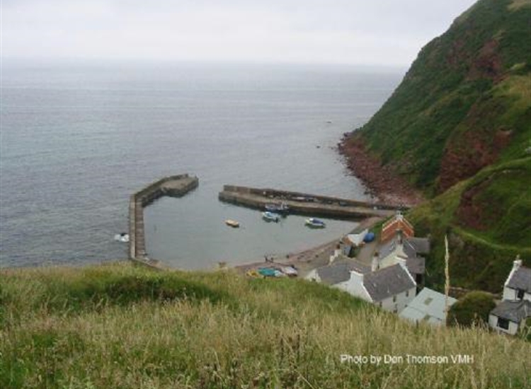 Pennan looking NE from the Cliffs at HW