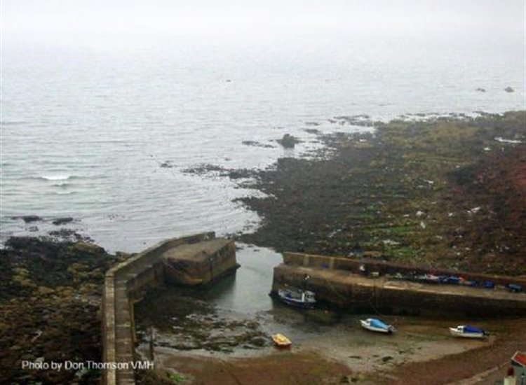 Pennan showing the reef and rocks outside at LW