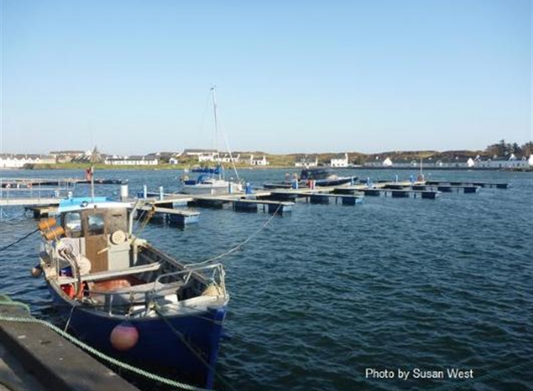 Port Ellen Pontoons in the winter