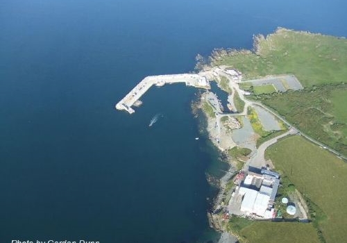 Port Oriel (Clogher Head)