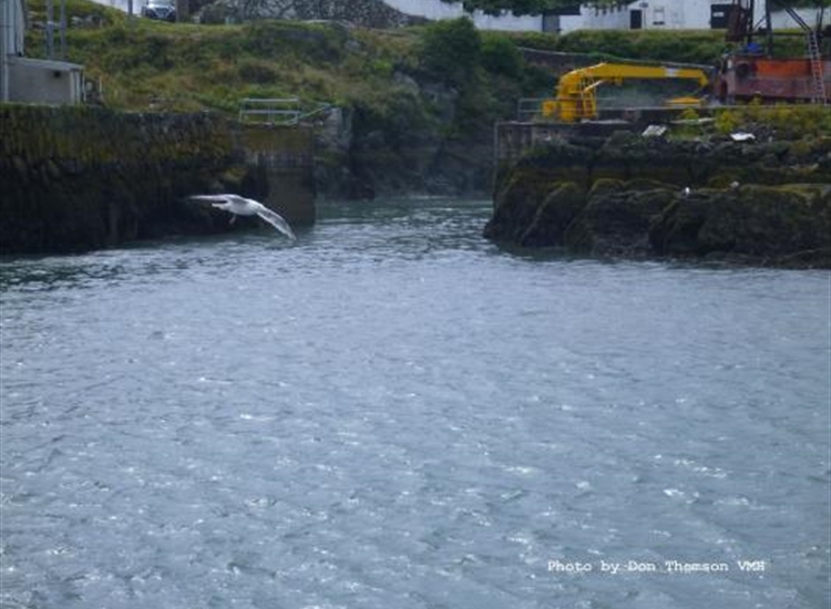 Entrance to the Inner harbour