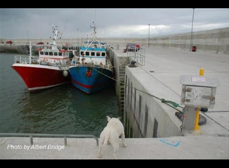 Port Oriel looking North
