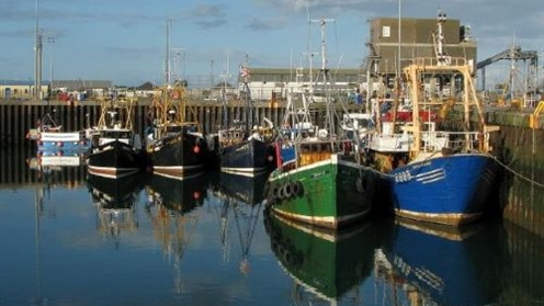 portavogie-harbour