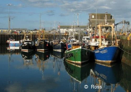 Portavogie Harbour