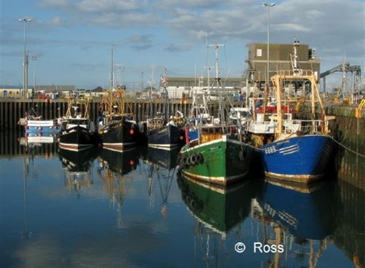 Portavogie, well sheltered but crowded.jpg