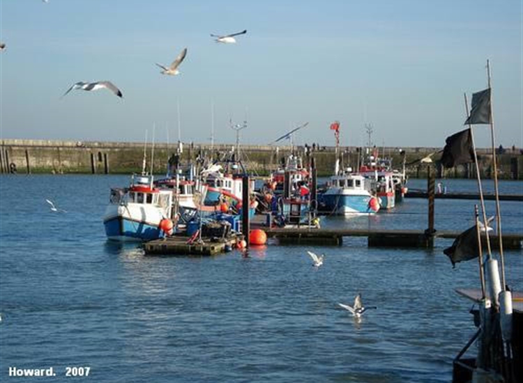 Outer Harbour, East Marina