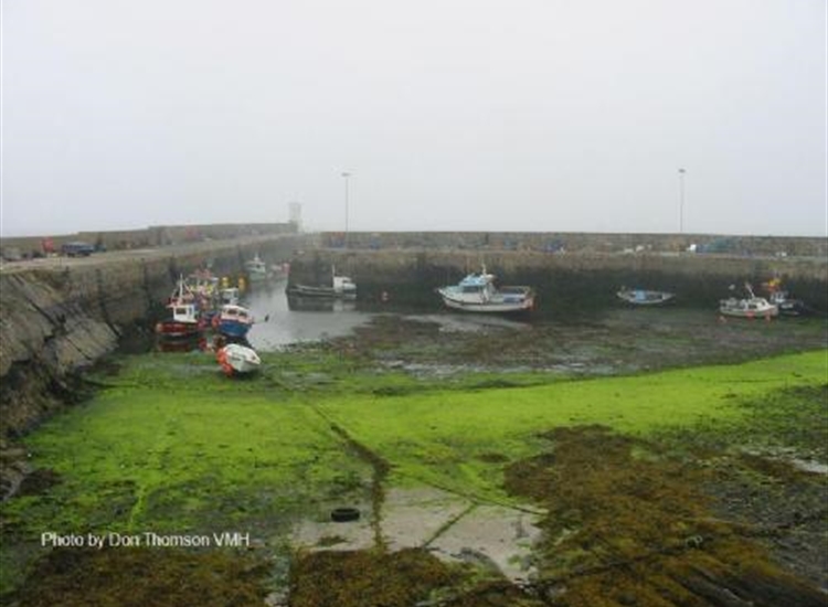 Rosehearty inner harbour looking Northwards to entrance