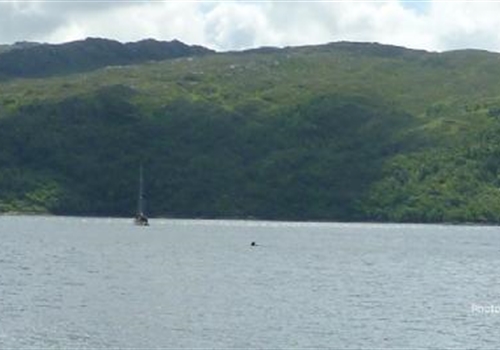Salen Jetty (Loch Sunart)