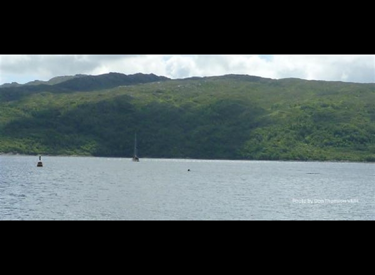 Entrance to Salen Bay showing ECM and reef
