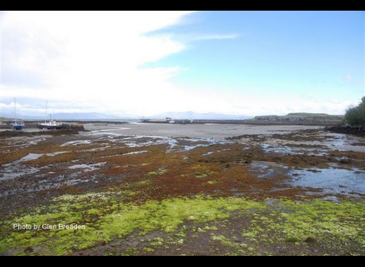 Eigg Harbour with the tide out. ferry from mainland dead centre