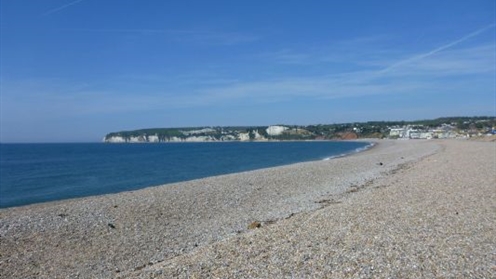 seaton