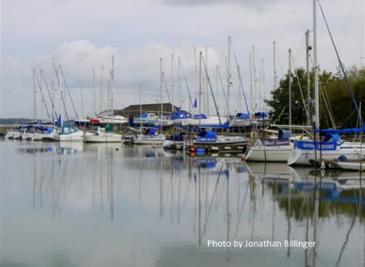 Boats moored on the Eastern side of Ashlett Creek