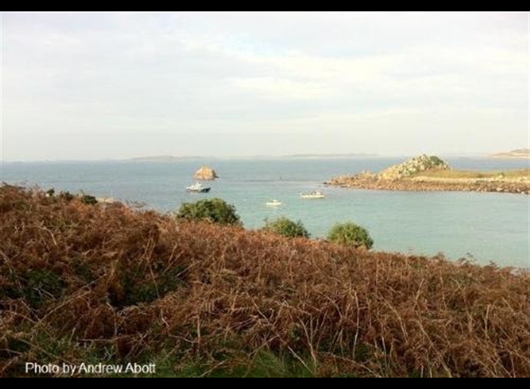 Looking North across Porth Conger. Isolated rock is the Cow