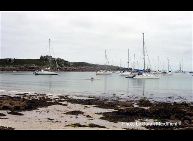 Yachts at anchor in the Cove - not much room left