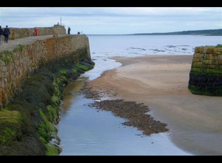 Harbour entrance at Low Water - after Easterlies and before sluicing