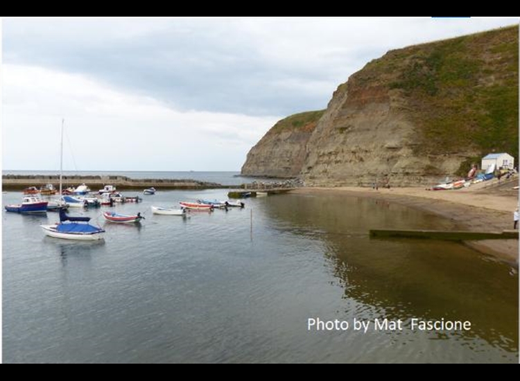 Looking East across the harbour