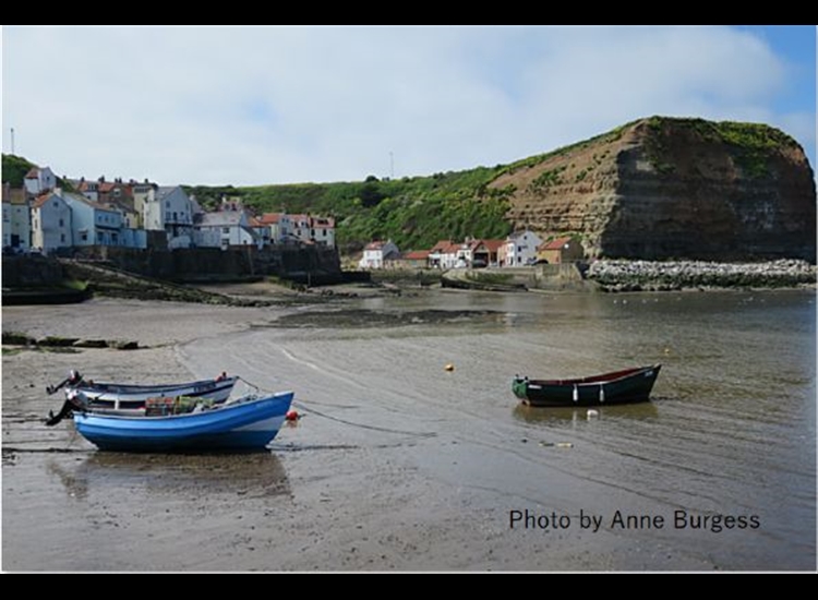 Looking West along beech to the beck