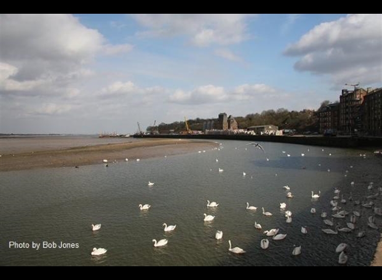 Mistley Quay looking East