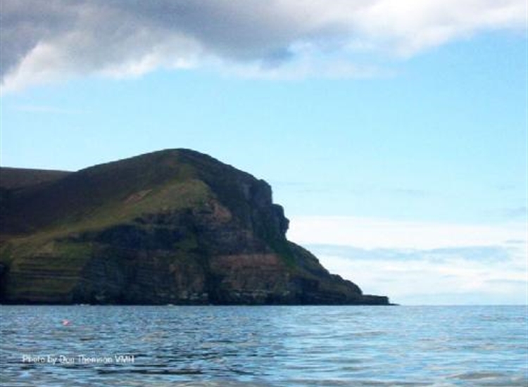 Hoy North West Close up