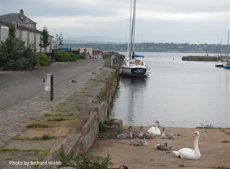 Tayport. Yacht on a visitor's drying berth