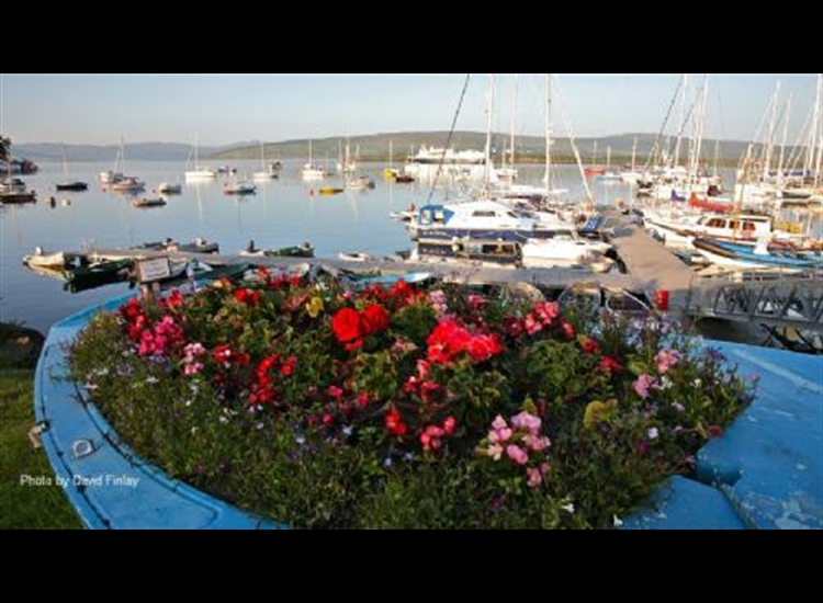 Tobermory moorings from the shore. Red buoys belong to local owners