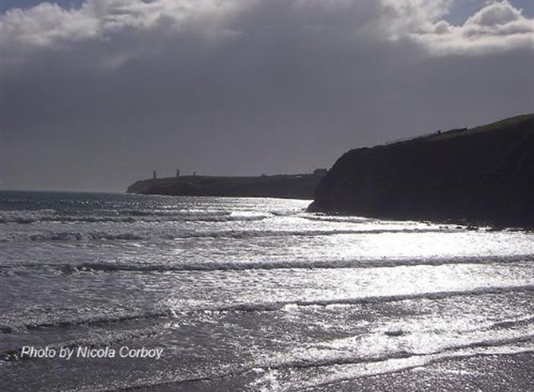 Great Newtown Head. Harbour is in behind near headland
