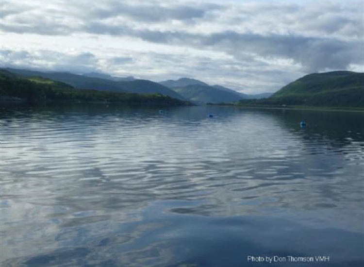 Looking up Loch Broom from the Ullapool moorings