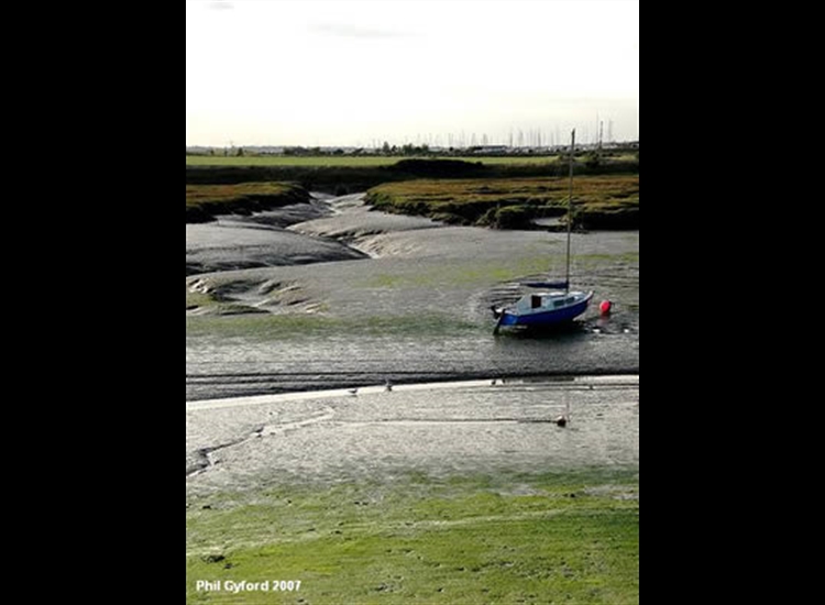 Mudbanks, Foundry Reach