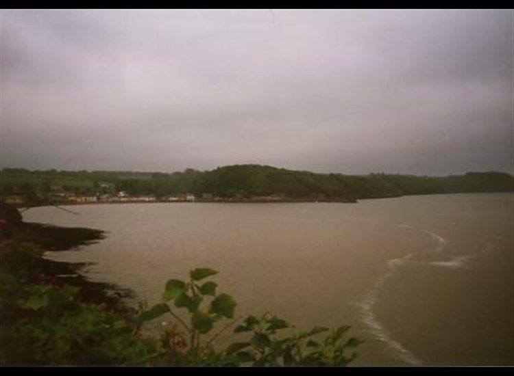 Arthurstown from the coast road below Ballyhack