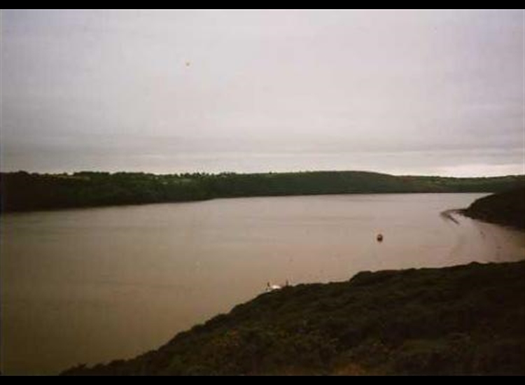 River Suir North of Ballyhack