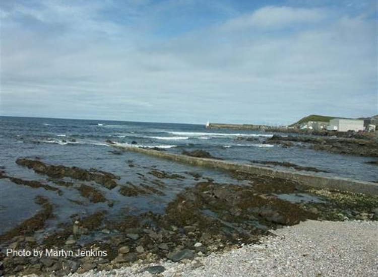 Whitehills from shore to the West